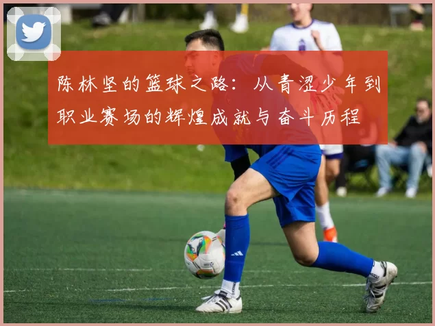 陈林坚的篮球之路：从青涩少年到职业赛场的辉煌成就与奋斗历程