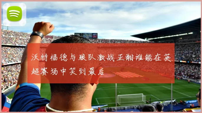 沃特福德与狼队激战正酣谁能在英超赛场中笑到最后