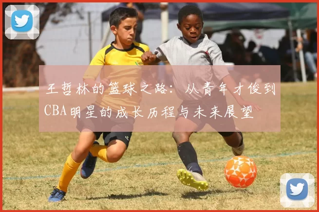 王哲林的篮球之路：从青年才俊到CBA明星的成长历程与未来展望