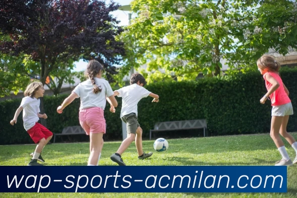 ac米兰平台生态图